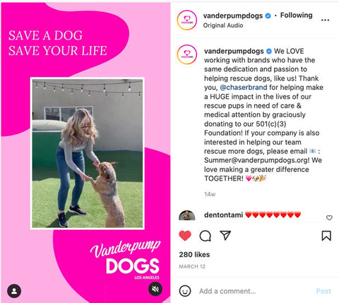 Vanderpump Dogs posted this great REEL featuring Openhouse funnels DOG028 celebrating our generous donation to the organization.